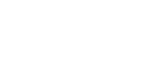 Plugin web