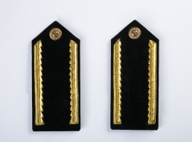 Platina Exército Oficial