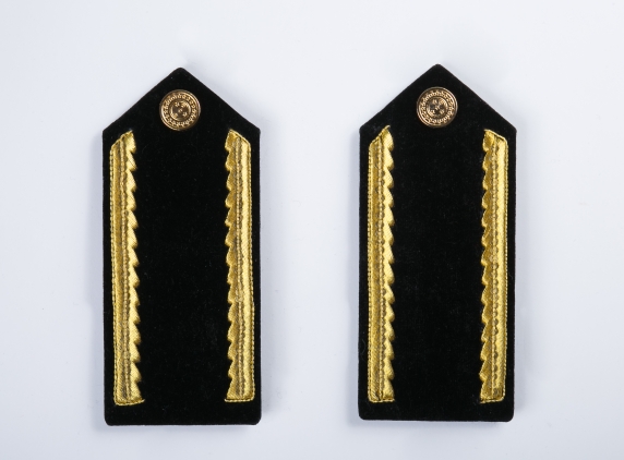 Platina Exército Oficial